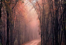 多多28:羽毛球——马来西亚公开赛:韩悦无缘四强.