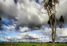 比肩安帅,齐沃是帕尔马队史第三位生涯意甲首秀赢球的主教练.