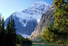 青島隊記者透露趙嘉義即將復出鮑威爾傷愈球隊鬥誌昂揚.