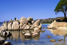 2022年歐美杯賽事介紹.